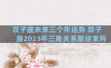 双子座未来三个年运势 双子座2023年三角关系能结束吗